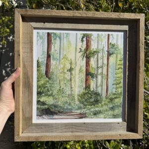 Take Me Back to Those Redwood Trees